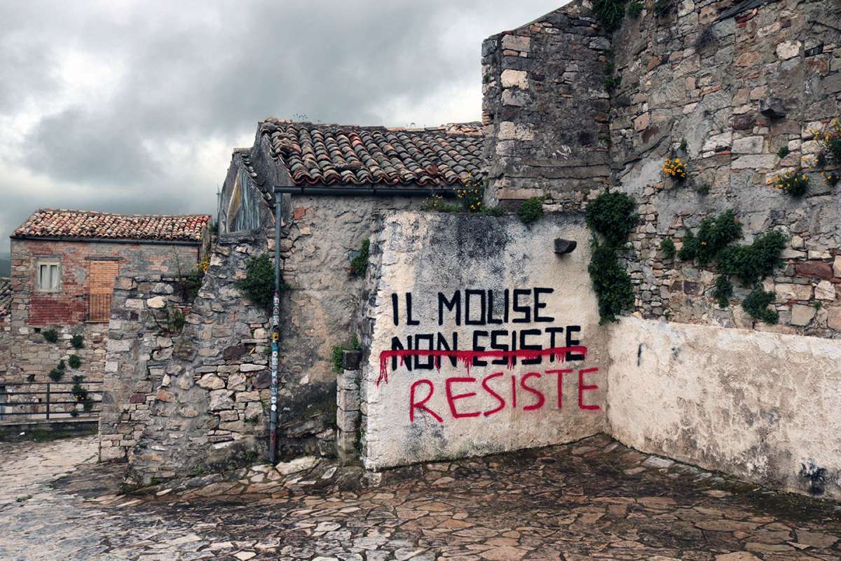 Immagine